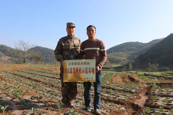 （图三）援建冷凉蔬菜种植基地.JPG